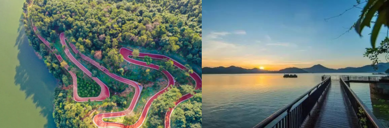 墅級(jí)獨(dú)棟廠房！50年產(chǎn)權(quán)可分割，就在青山湖科技城