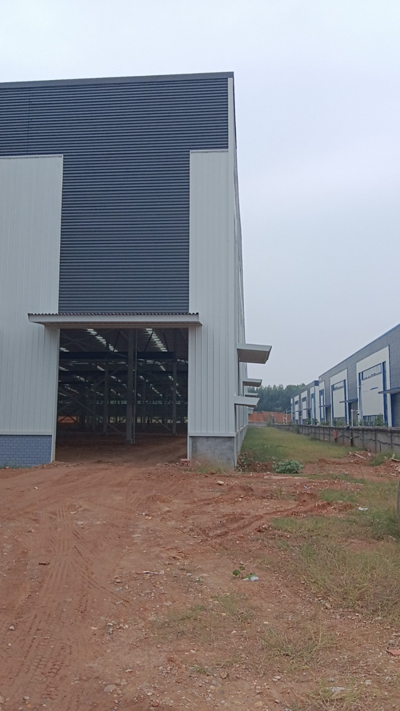 天府新區視高工業園 獨棟廠房出租 (新建)