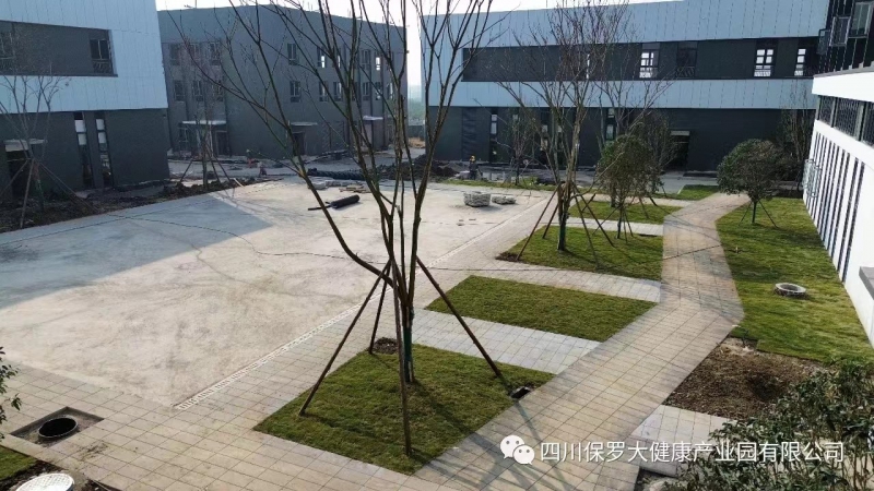 成都(德陽)食品醫藥框架廠房