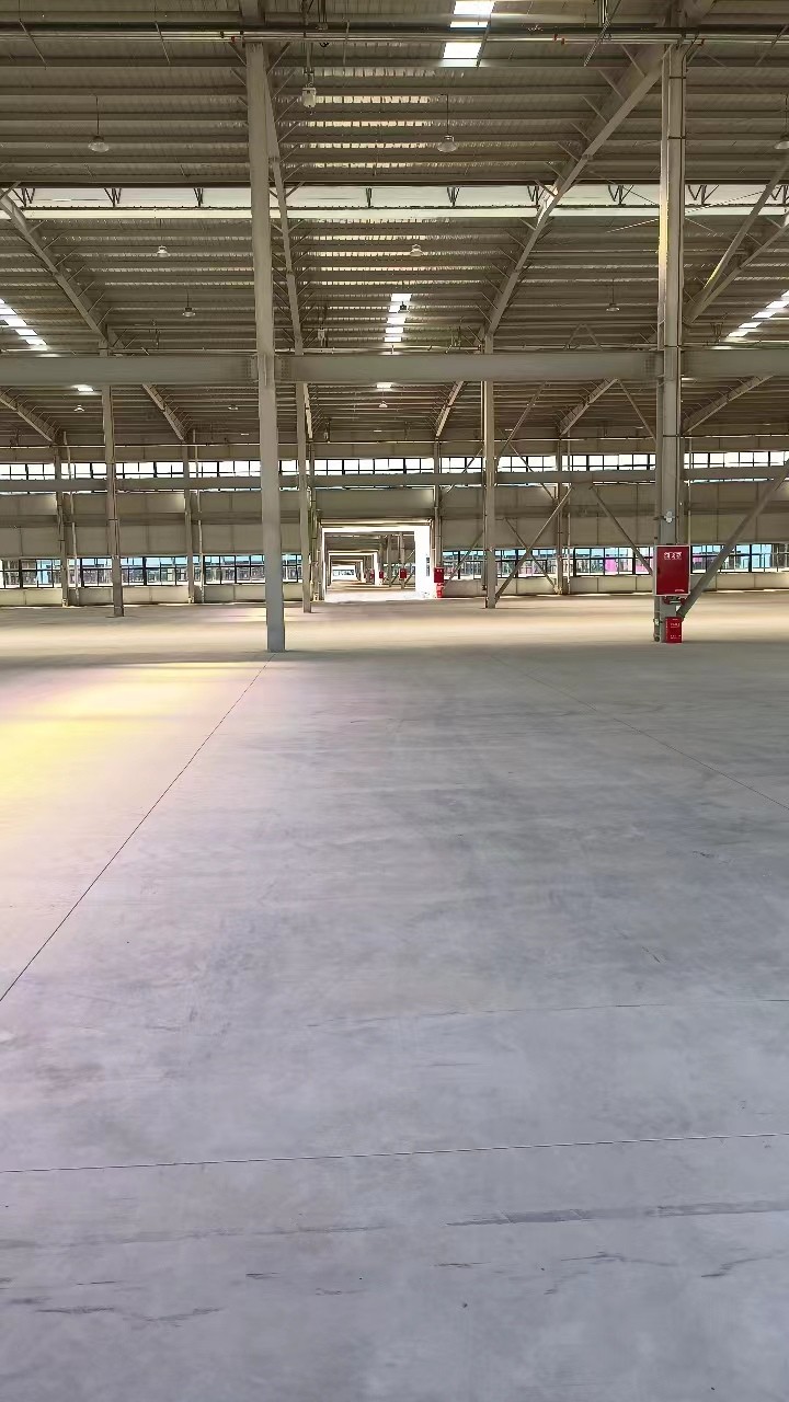 新津大型鋼結構廠房出租，非中介
