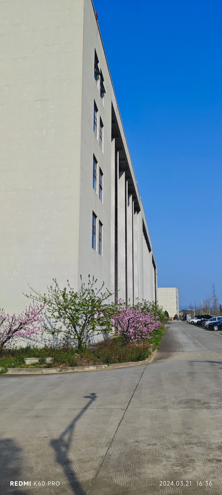 龍泉驛區神龍汽車旁直租廠房、研發樓