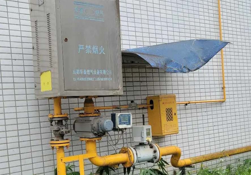 (出租) 出租蒲江標準廠房 通蒸汽水電氣,有環評,可整租可分租,可開票