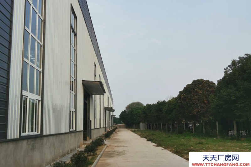 蒲江標準食品廠出租,適合食品加工,肉制品加工,糕點烘焙以及輕污染行業(yè),鋼結(jié)構(gòu)廠房,水電氣蒸汽全通