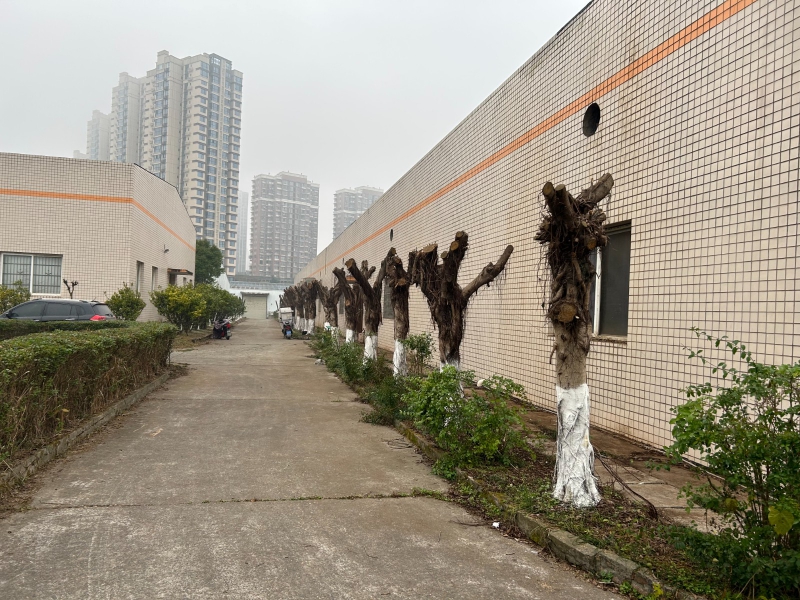 標(biāo)準(zhǔn)鋼結(jié)構(gòu)和磚混廠房(或庫(kù)房)出租