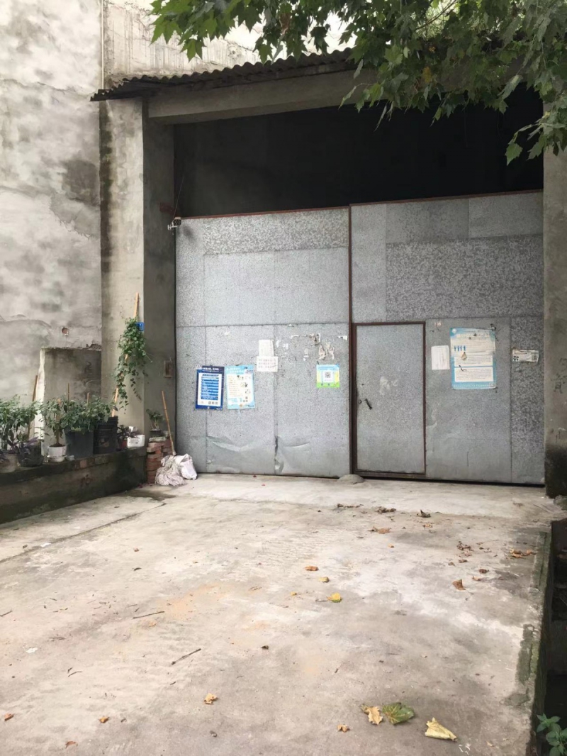 1000平方，帶動力電，公路旁