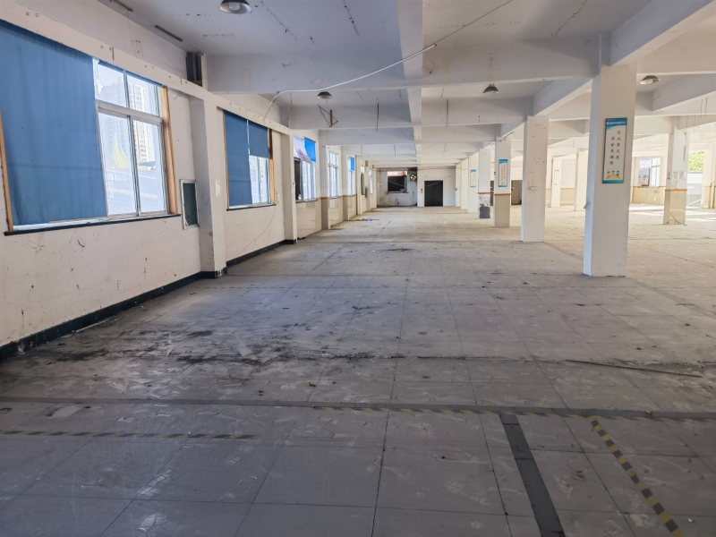 時代高架下，政府園區框架結構廠房出租
