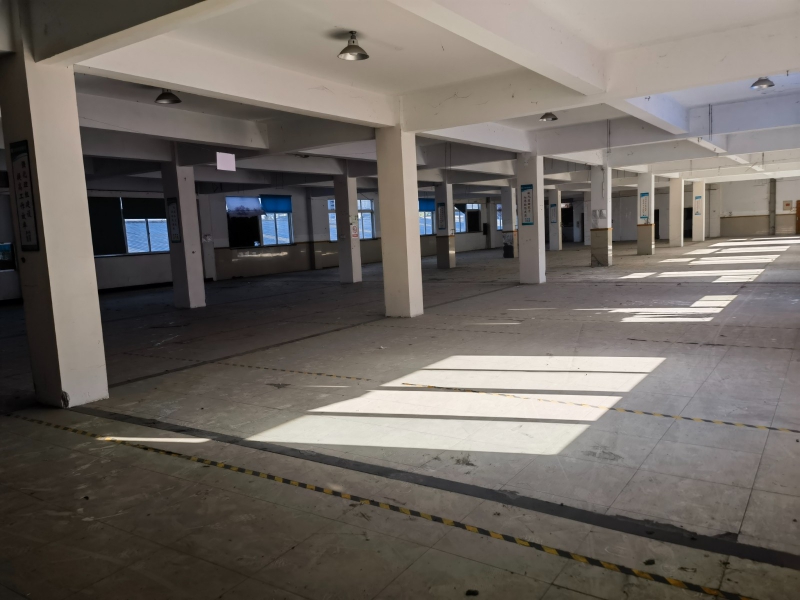 蕭山時(shí)代高架下235國(guó)道旁