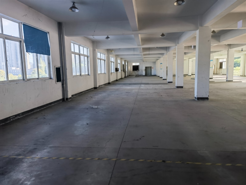 蕭山時代高架下235國道旁,獨門獨院廠房出租