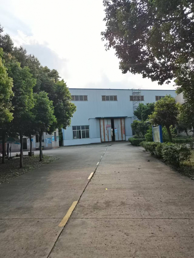 郫都區單層鋼結構廠房出租。廠房9米高,面積800平米