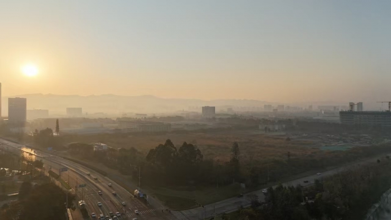 成都經(jīng)開區(qū) 1000㎡標(biāo)準(zhǔn)廠房出售 獨(dú)門獨(dú)院戶型獨(dú)立產(chǎn)權(quán) 臨地鐵高鐵