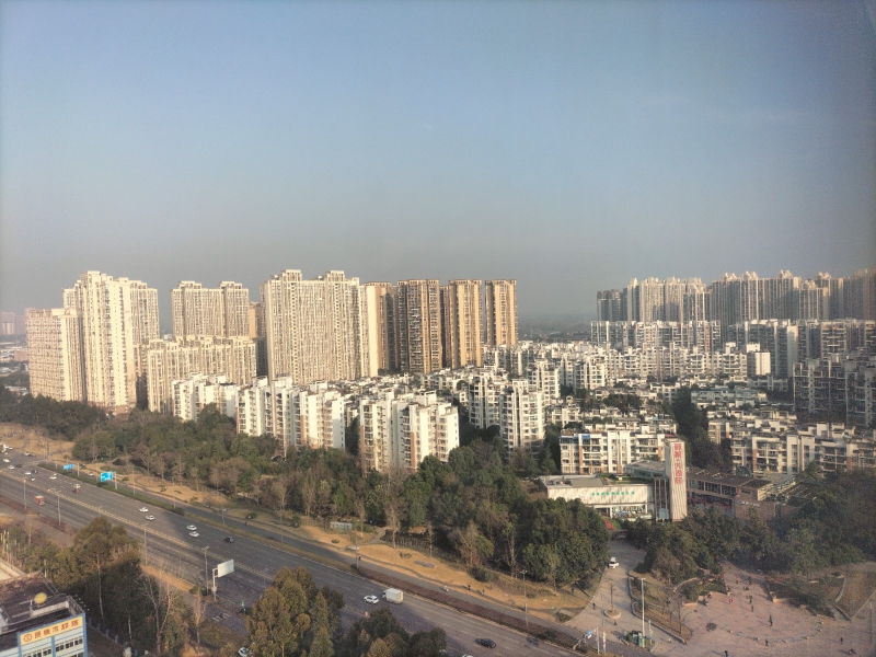 成都經(jīng)開區(qū) 1000㎡標(biāo)準(zhǔn)廠房出售 獨(dú)門獨(dú)院戶型獨(dú)立產(chǎn)權(quán) 臨地鐵高鐵