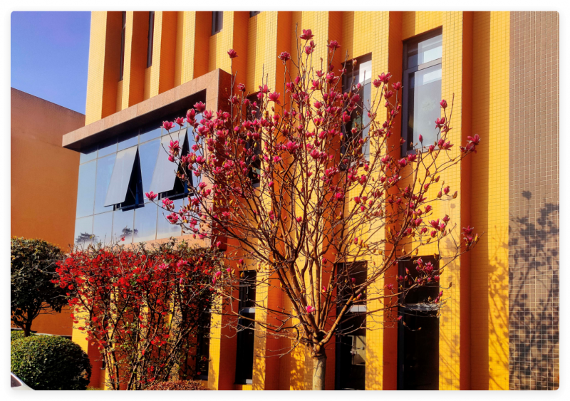 浩朗科技園,高性價比標準廠房