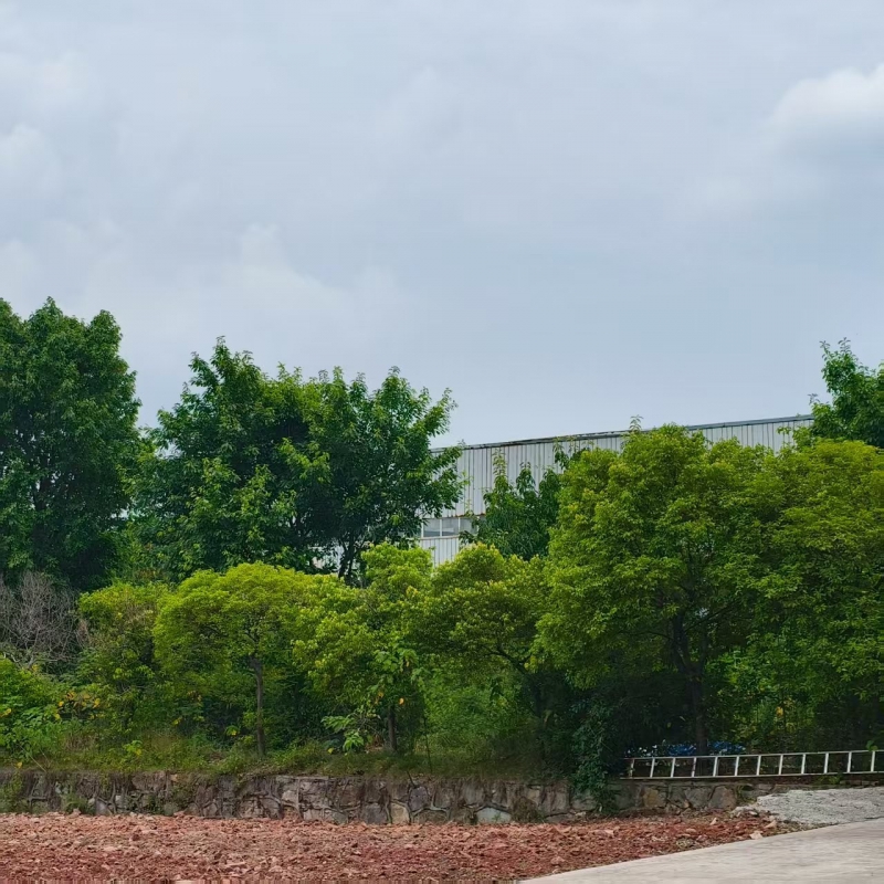 前鋒區工業廠房,總面積17818㎡,證件齊全,獨立產權